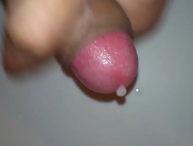 Tinh Gia Lam Dao，收集鸟类，鸟类产生鸟类